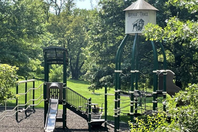 view of playground from the side