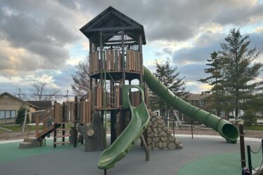two slides coming down from treehouse structure