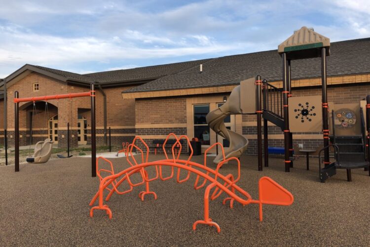 dinosaur shaped climbing feature