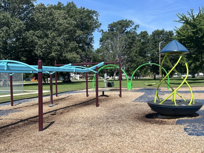 2 bay zip line, swings, and multi-person spinner