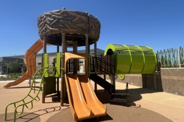 play structure with a tunnel bridge, 2 double slide, and a curvy slide coming off a bird nest structure