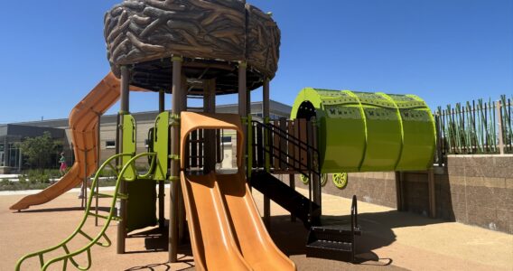 play structure with a tunnel bridge, 2 double slide, and a curvy slide coming off a bird nest structure